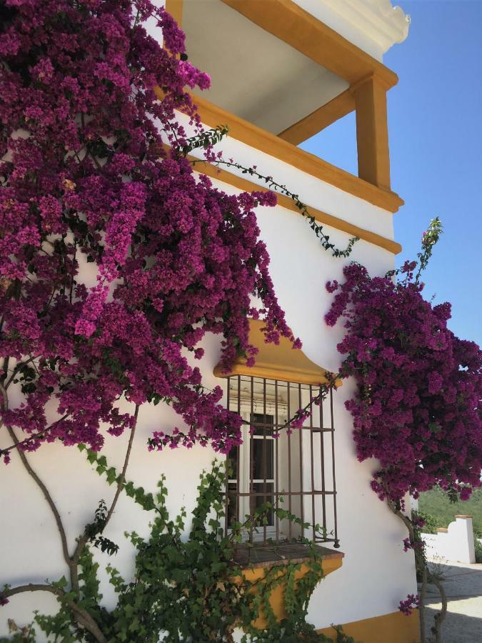 Hacienda La Morena Montellano Exterior photo